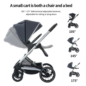 2 in one Stroller with Reversible Seat for Baby and Toddlers