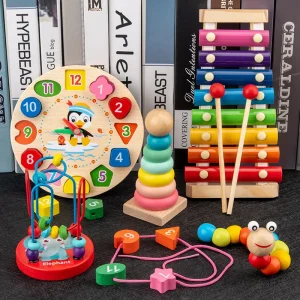 9 in 1 Wooden Development Toys